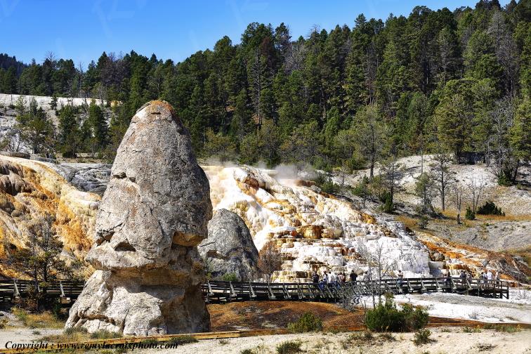Mammoth Hot Springs Yellowstone National Park Wyoming USA www.remylacroixphoto.com