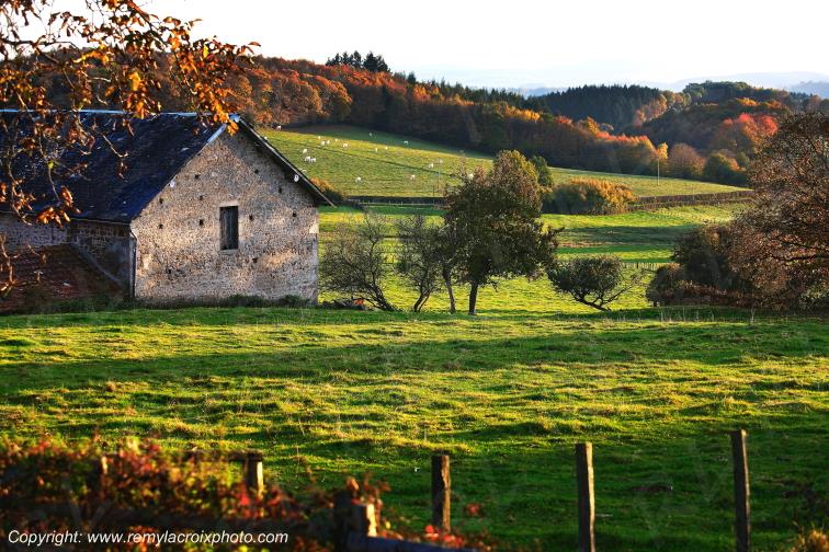 Saint L�ger sous Beuvray Morvan Sa�ne et Loire Bourgogne Franche Comt� France www.remylacroixphoto.com