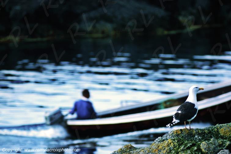 Nesland Flakstadoy Island Lofoten Norv�ge Norway www.remylacroixphoto.com