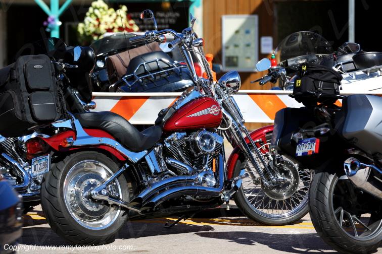 Harley-Davidson Custer Bikers Black Hills South Dakota USA