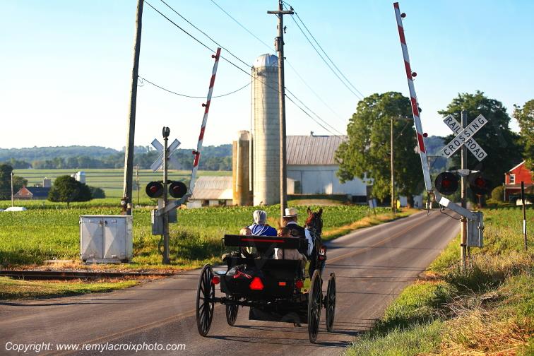 Lancaster Dutch County Amish Buggy Pennsylvania Pennsylvanie USA ww.remylacroixphoto.com