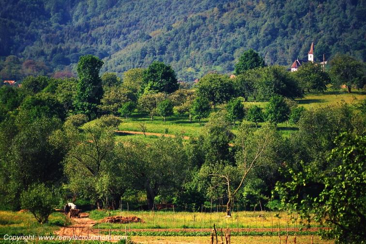Cacova Sibiului Fantanele Marginimea Sibiului Transylvania Transylvanie Romania Roumanie www.remylacroixphoto.com