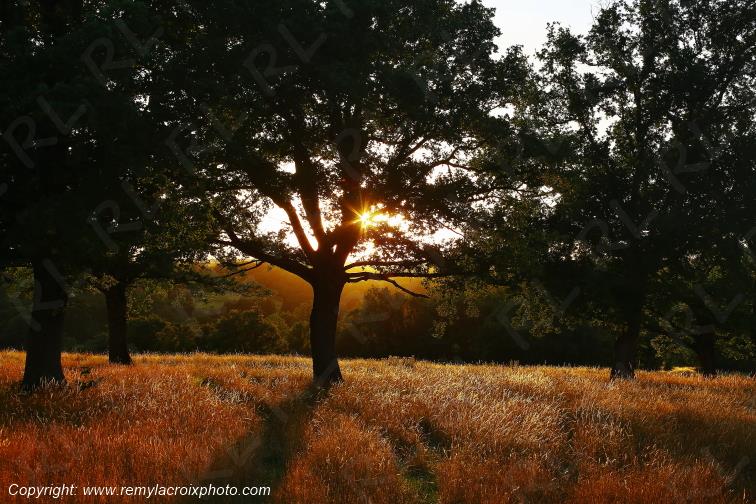 Tranzault Le Chassin Indre Berry Centre Val de Loire France www.remylacroixphoto.com