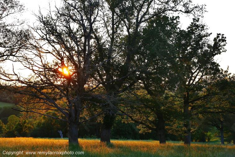 Tranzault Le Chassin Indre Berry Centre Val de Loire France www.remylacroixphoto.com