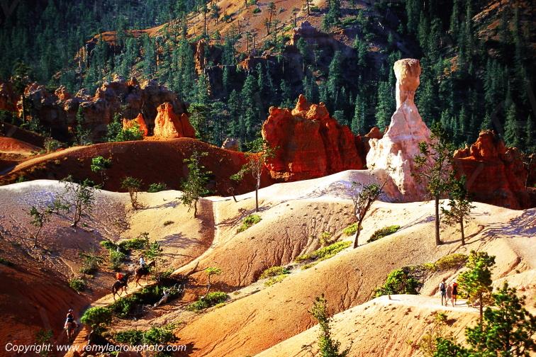 Bryce Canyon National Park Utah USA www.remylacroixphoto.com