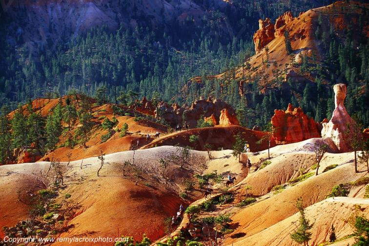 Bryce Canyon National Park Utah USA www.remylacroixphoto.com