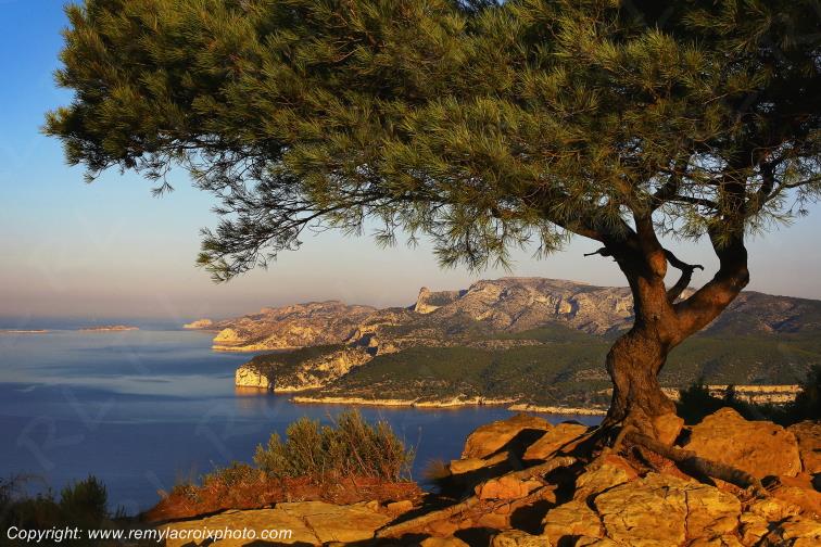 Route des Cr�tes Parc National des Calanques Bouches du Rh�ne Provence Alpes C�te d'Azur France www.remylacroixphoto.com