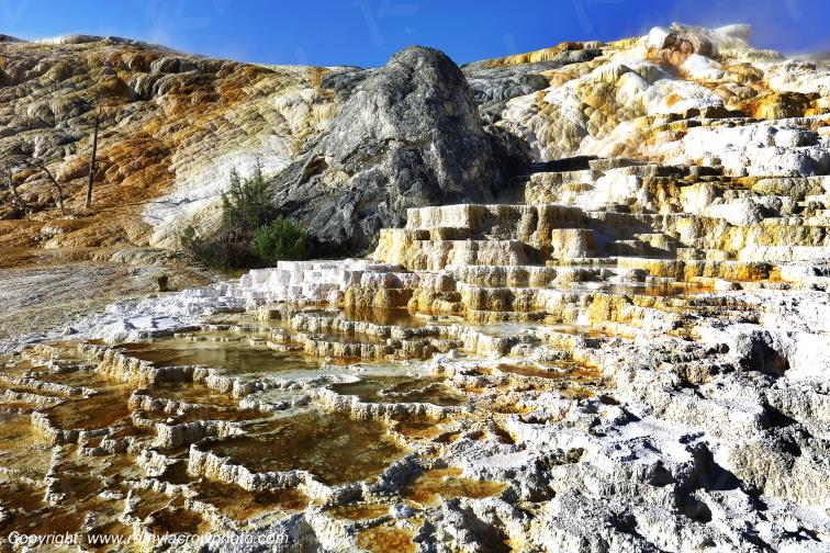 Mammoth Hot Springs Yellowstone National Park Wyoming USA www.remylacroixphoto.com