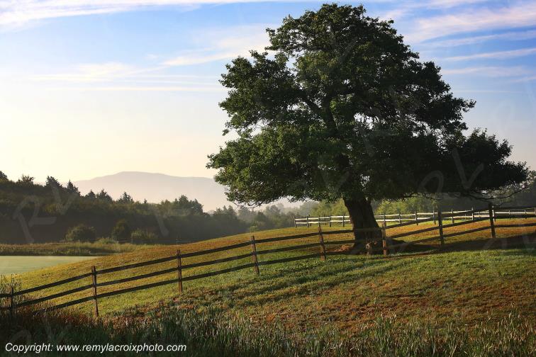 Shenandoah Valley Mount Crawford Shenandoah Valley Virginia Virginie USA www.remylacroixphoto.com