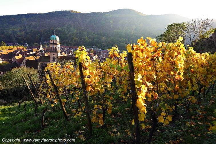 Kaysersberg vignoble Haut-Rhin Alsace France www.remylacroixphoto.com
