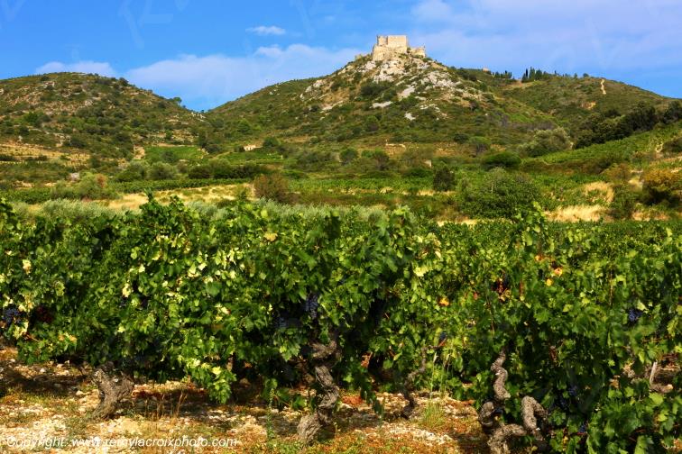 Aguilar Ch�teau Cathare Haut-Fitou Corbi�res vignoble Aude Occitanie France www.remylacroixphoto.com