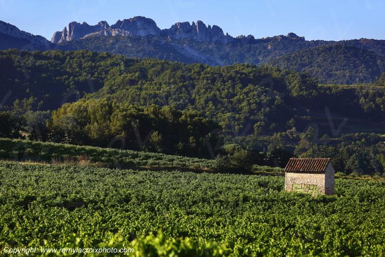 Sablet Vignoble Vaucluse Provence Alpes C�te d'Azur PACA France www.remylacroixphoto.com