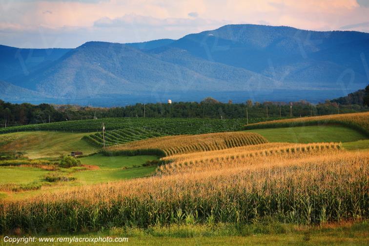 Shenandoah Valley Mount Crawford Shenandoah Valley Virginia Virginie USA www.remylacroixphoto.com
