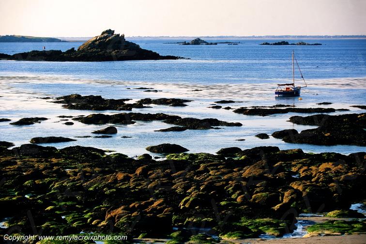 C�te sauvage presqu'�le de Quiberon Morbihan Bretagne France