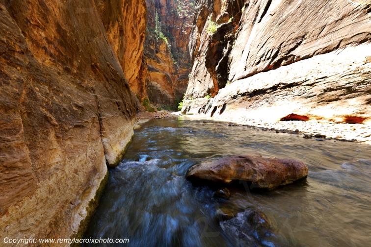 Riverside Walk Zion National Park Utah USA