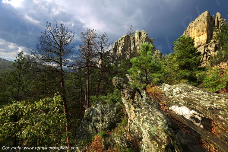 Mount Rushmore Black Hills South Dakota USA