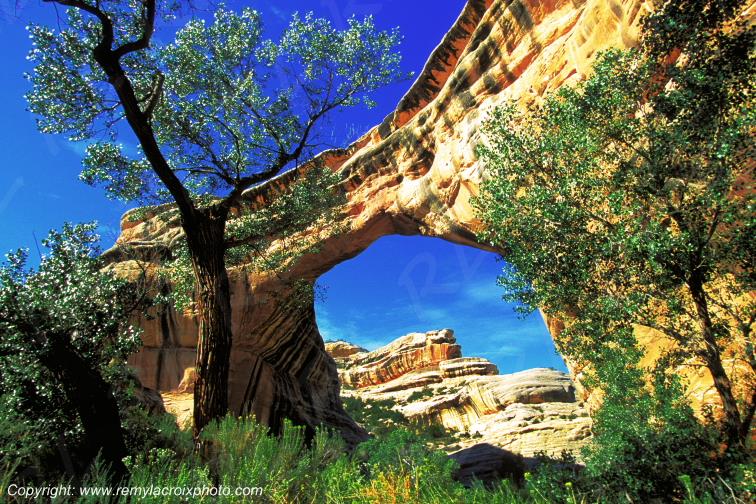 Natural Bridge National Monument Sipapu Bridge Utah USA