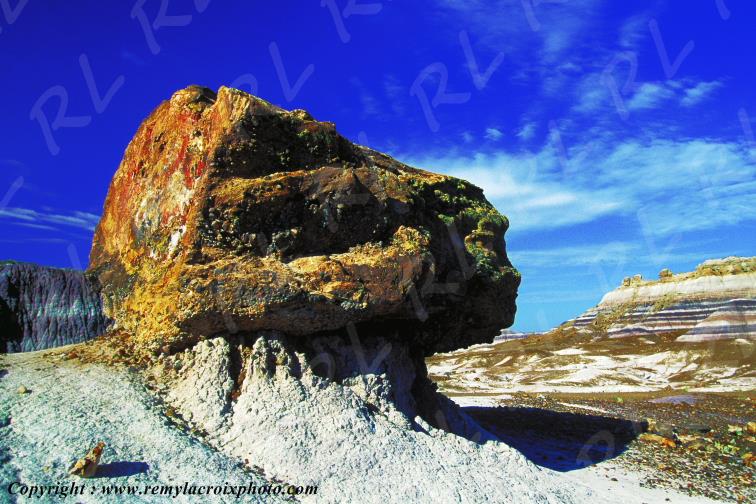 Petrified Forest National Park Blue Mesa Arizona USA