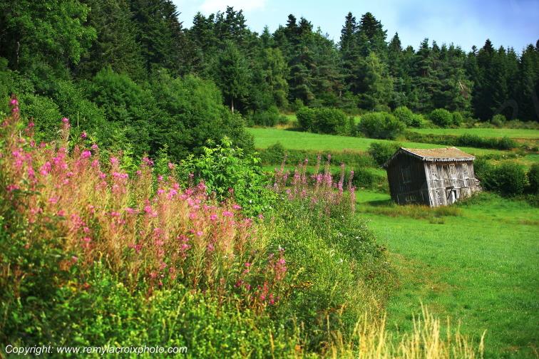 Estival Livradois-Forez Puy de D�me Auvergne Rh�ne-Alpes France www.remylacroixphoto.com