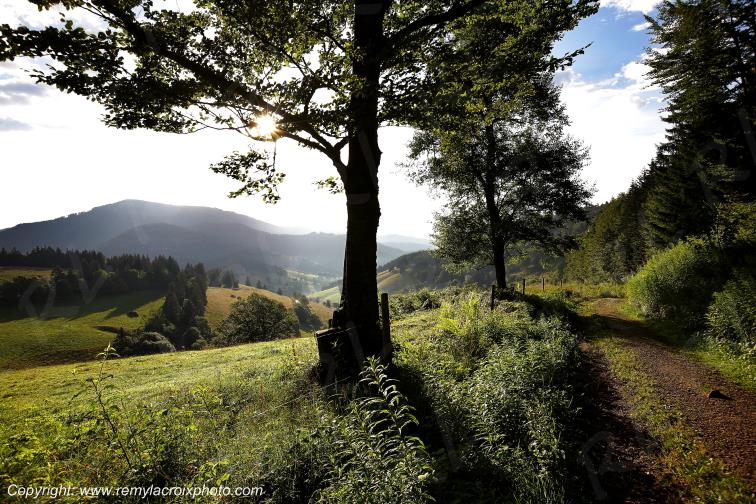 Col de Belchen For�t Noire Allemagne Deutchland Germany Europe Europ www.remylacroixphoto.com