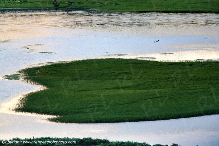 Hayden Valley Yellowstone National Park Wyoming USA www.remylacroixphoto.com