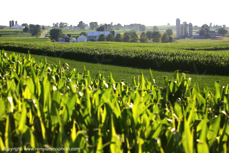 Strasburg Amish country Pennsylvania Pennsylvanie USA www.remylacroixphoto.com
