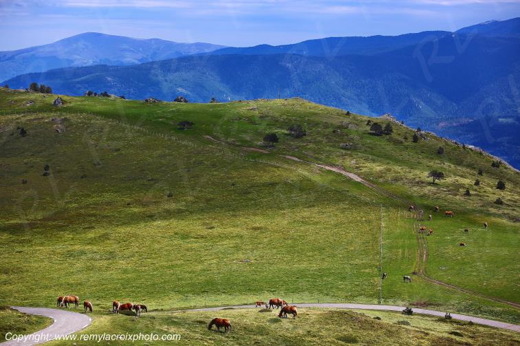 Col de Pailheres Ari�ge Occitanie Midi Pyr�n�es France www.remylacroixphoto.com