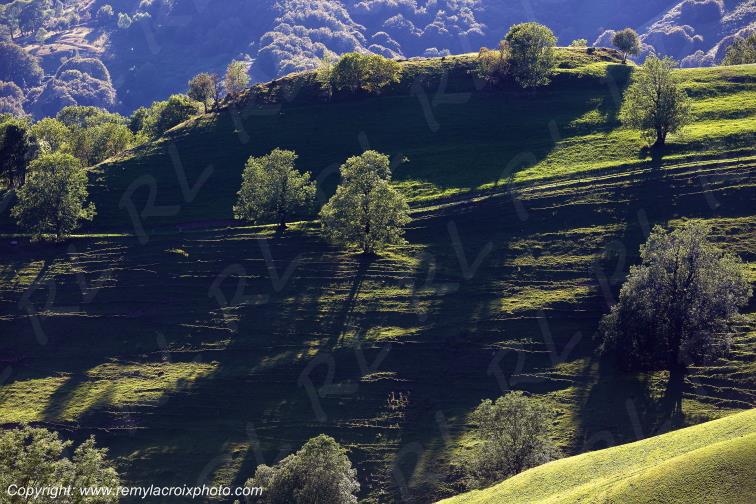 Fonjouquet Cantal Auvergne Rh�ne-Alpes France www.remylacroixphoto.com