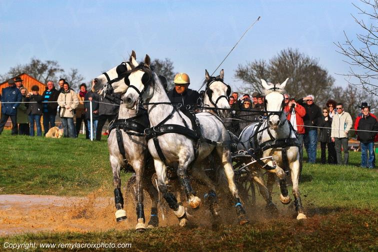 Attelages Championnat de France Attelage P�le du cheval et de l'�ne Ligni�res Cher Berry France www.remylacroixphoto.com
