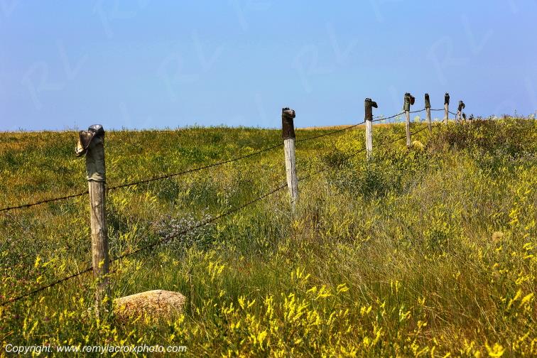 Val Marie Great Plains Grandes Plaines Saskatchewan Canada www.remylacroixphoto.com