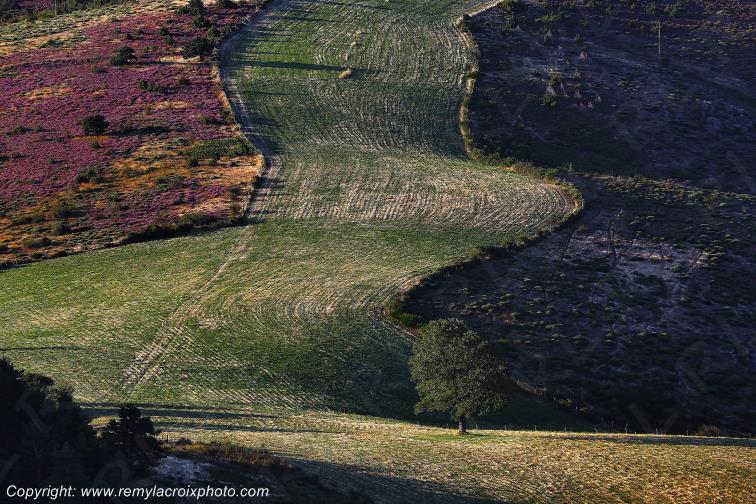 Pompidou Corniche des C�vennes Loz�re Languedoc-Roussillon Occitanie France www.remylacroixphoto.com