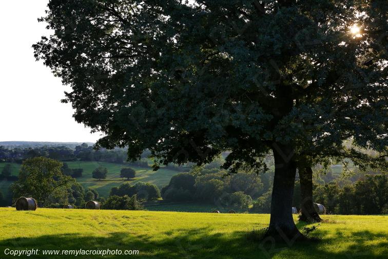 Tranzault Val de Bouzanne Indre Berry Centre Val de Loire France www.remylacroixphoto.com