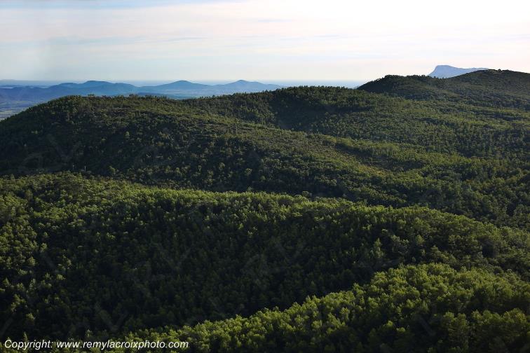 Rocbaron Var Provence Alpes C�te d'Azur PACA France www.remylacroixphoto.com