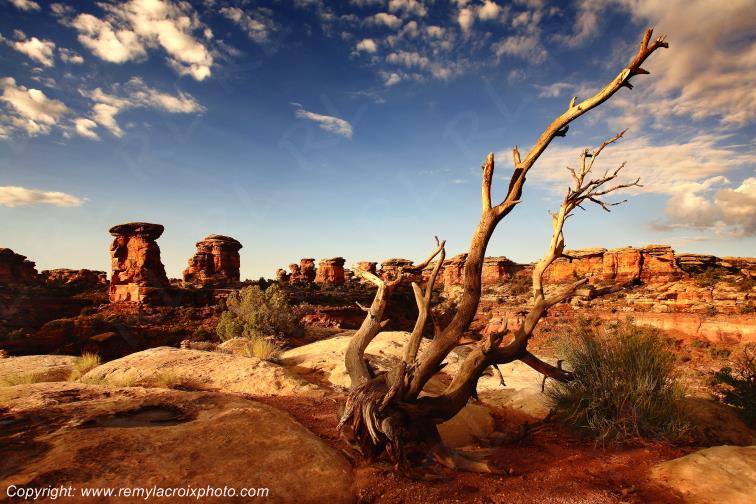 The Needles Canyonlands National Park Utah USA www.remylacroixphoto.com