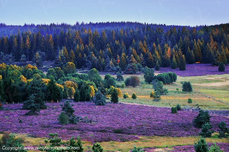 Tourbi�re du Long�roux plateau de Millevaches Corr�ze Limousin France