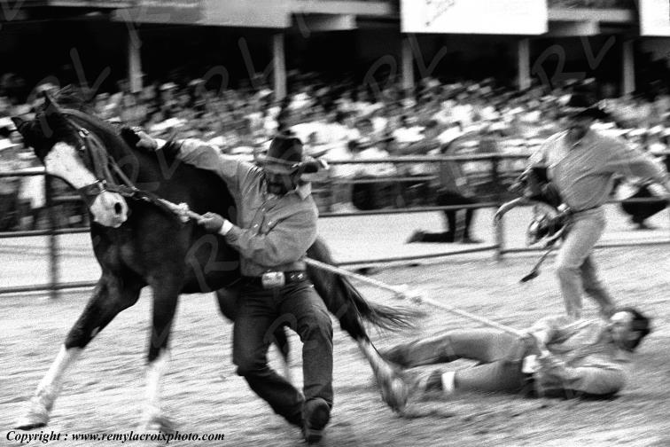 Cheyenne Frontier Days rodeo wild horses race Wyoming USA
