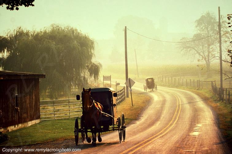 Lancaster Dutch County Amish Buggies Pennsylvania Pennsylvanie USA ww.remylacroixphoto.com