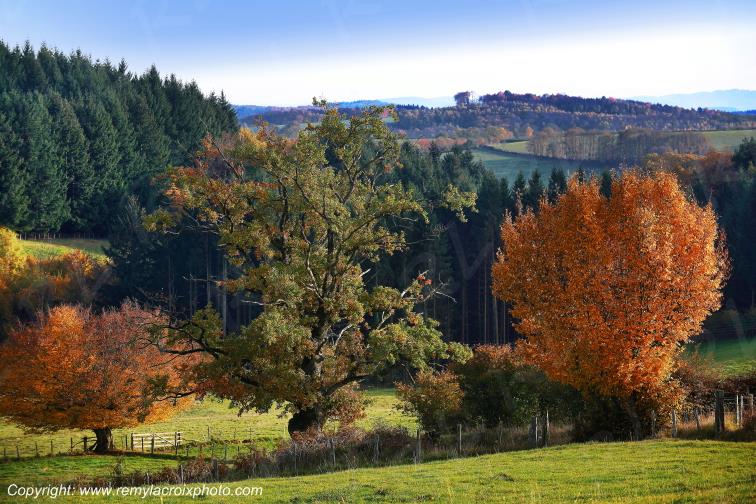 Saint Prix en Morvan Sa�ne et Loire Bourgogne Franche Comt� France www.remylacroixphoto.com
