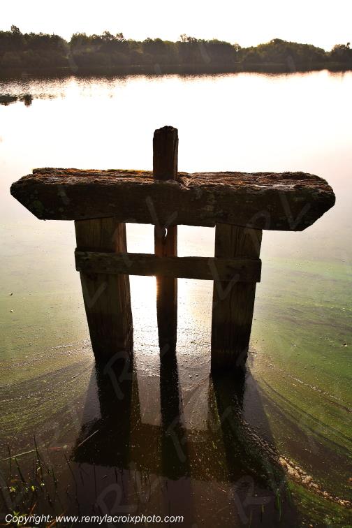 Marcilly en Gault Etang du Briou Sologne Loir et Cher Centre Val de Loire France www.remylacroixphoto.com