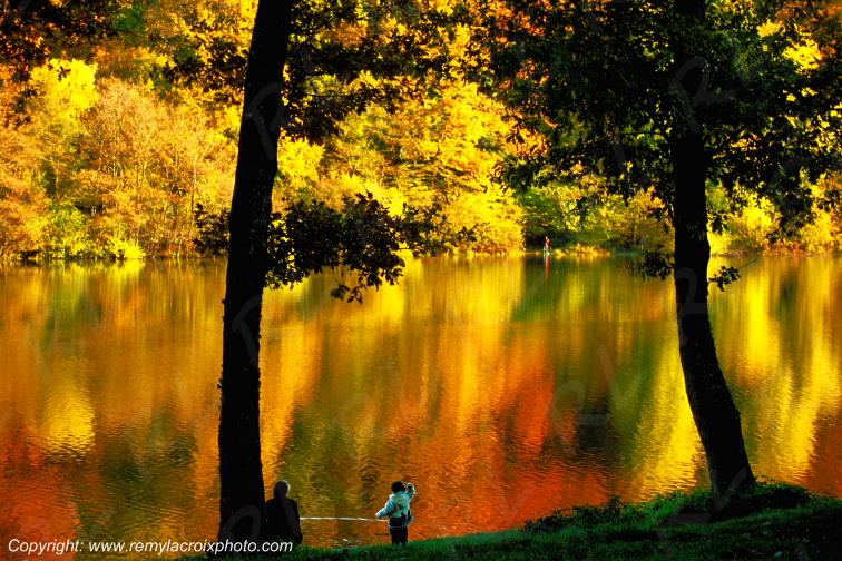 Tron�ais �tang For�t Vitray Allier Auvergne France