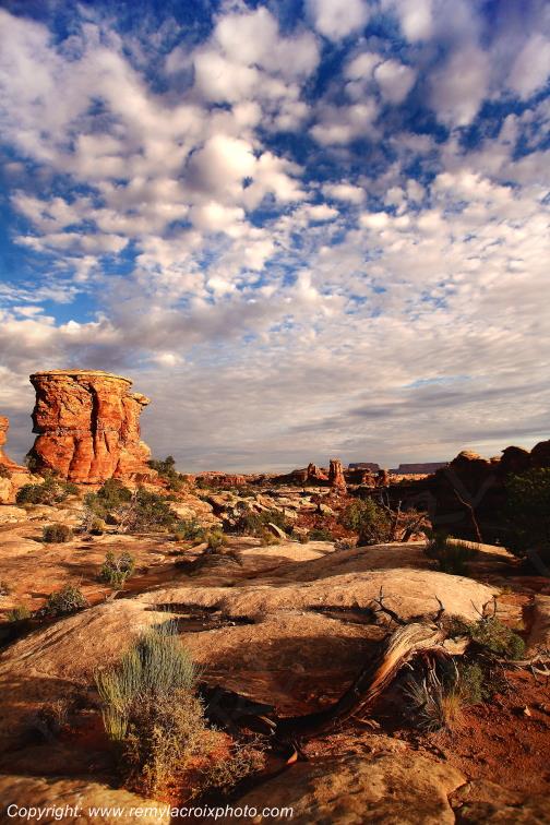 The Needles Canyonlands National Park Utah USA www.remylacroixphoto.com
