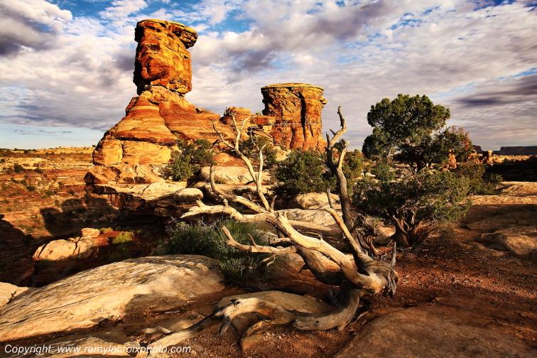 The Needles Canyonlands National Park Utah USA www.remylacroixphoto.com