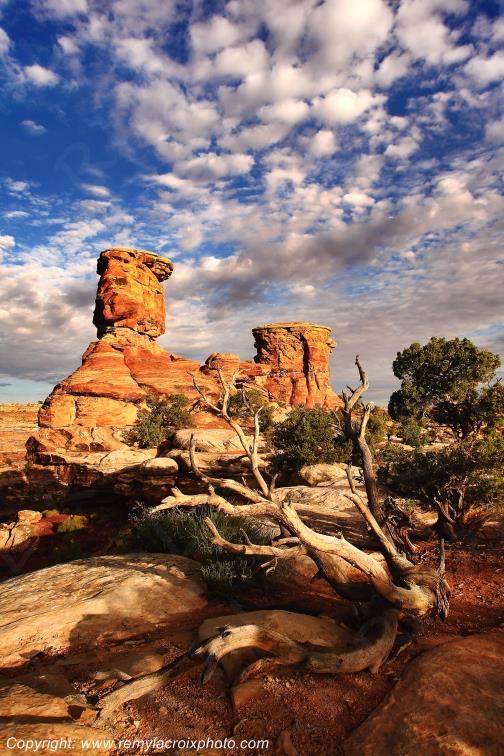 The Needles Canyonlands National Park Utah USA www.remylacroixphoto.com