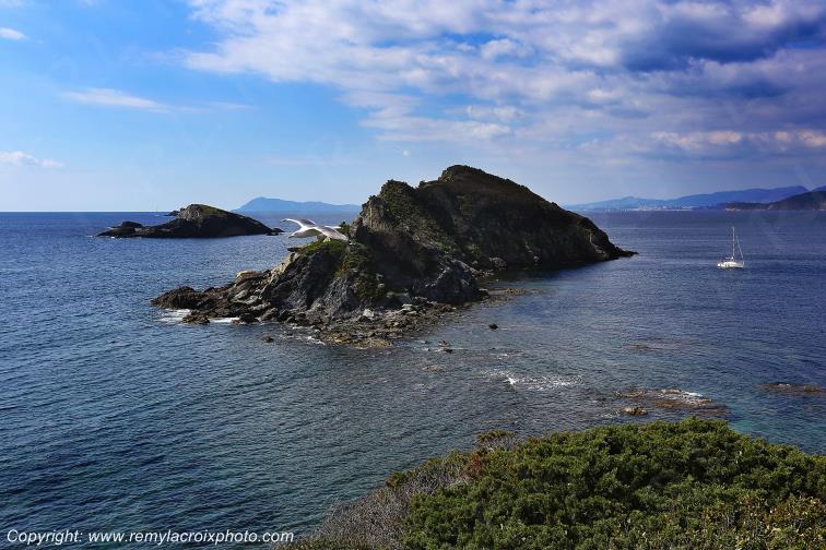 Presqu'�le de Giens La Madrague Var Provence Alpes C�te d'Azur PACA France www.remylacroixphoto.com