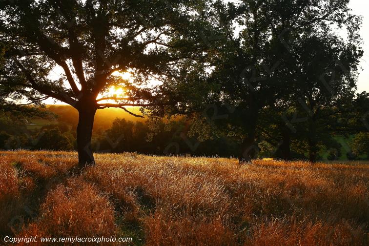 Tranzault Val de Bouzanne Indre Berry Centre Val de Loire France www.remylacroixphoto.com
