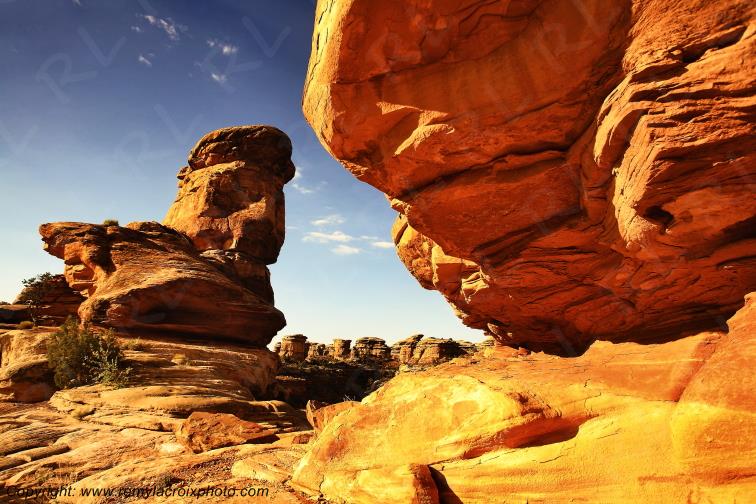 The Needles Canyonlands National Park Utah USA www.remylacroixphoto.com