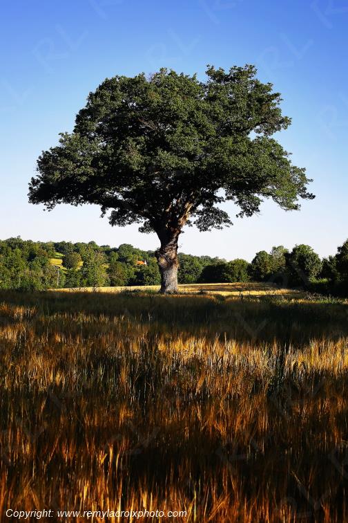 Tranzault Val de Bouzanne Indre Berry Centre Val de Loire France www.remylacroixphoto.com