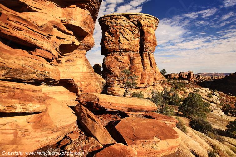 The Needles Canyonlands National Park Utah USA www.remylacroixphoto.com