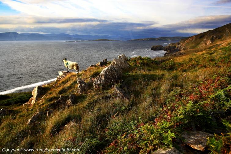 P�ninsule de Beara Cod's Head Cork Irlande Ireland
