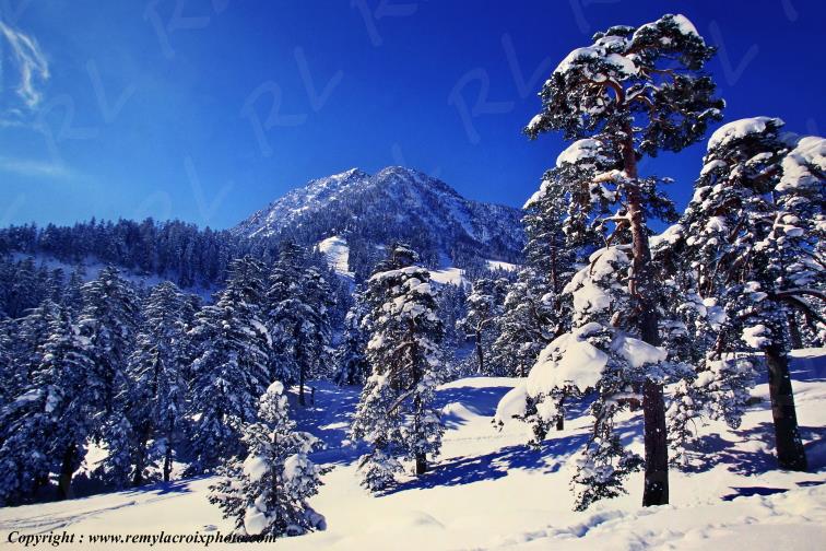 Parc national des Pyr�n�es Pont d'Espagne Hautes-Pyr�n�es France www.remylacroixphoto.com